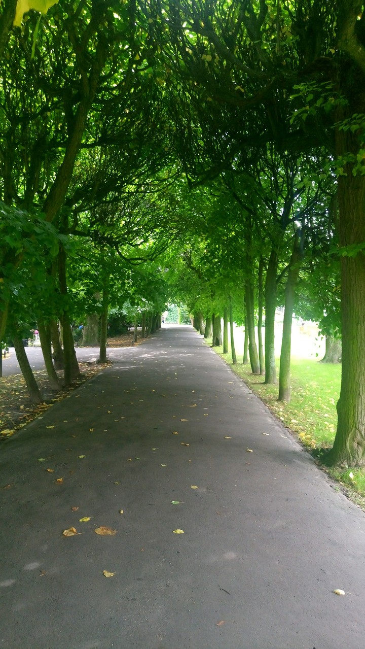 Oliwa, Gdańsk