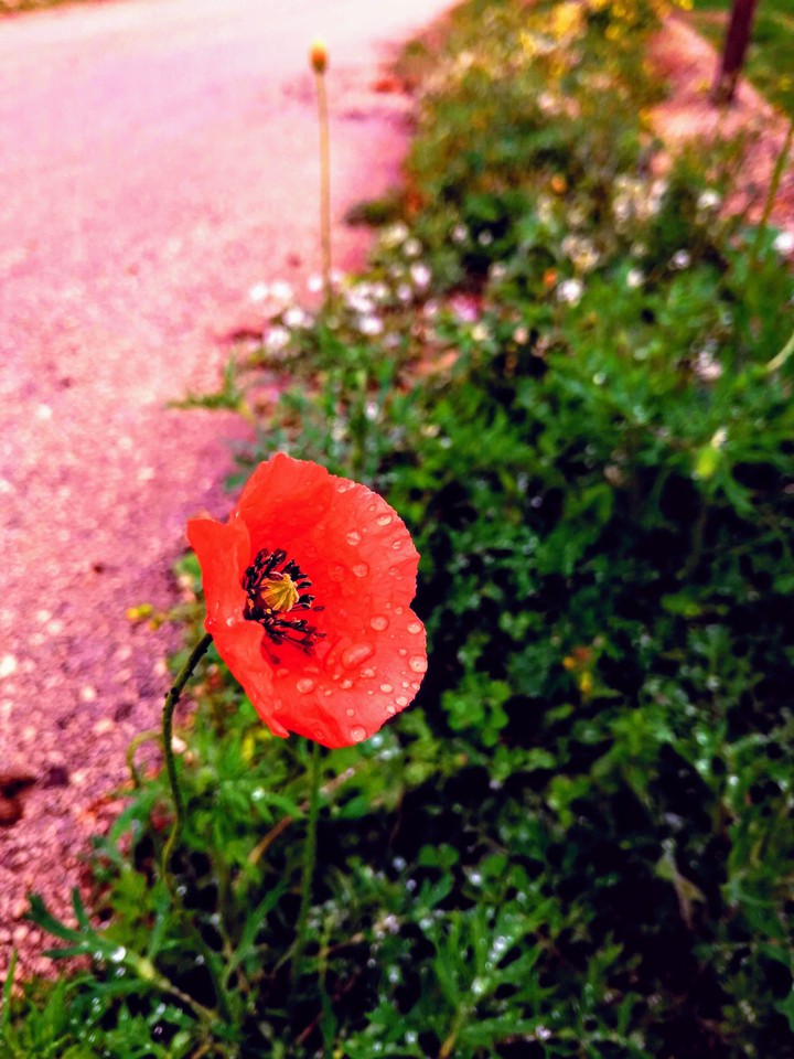 #Raindrops