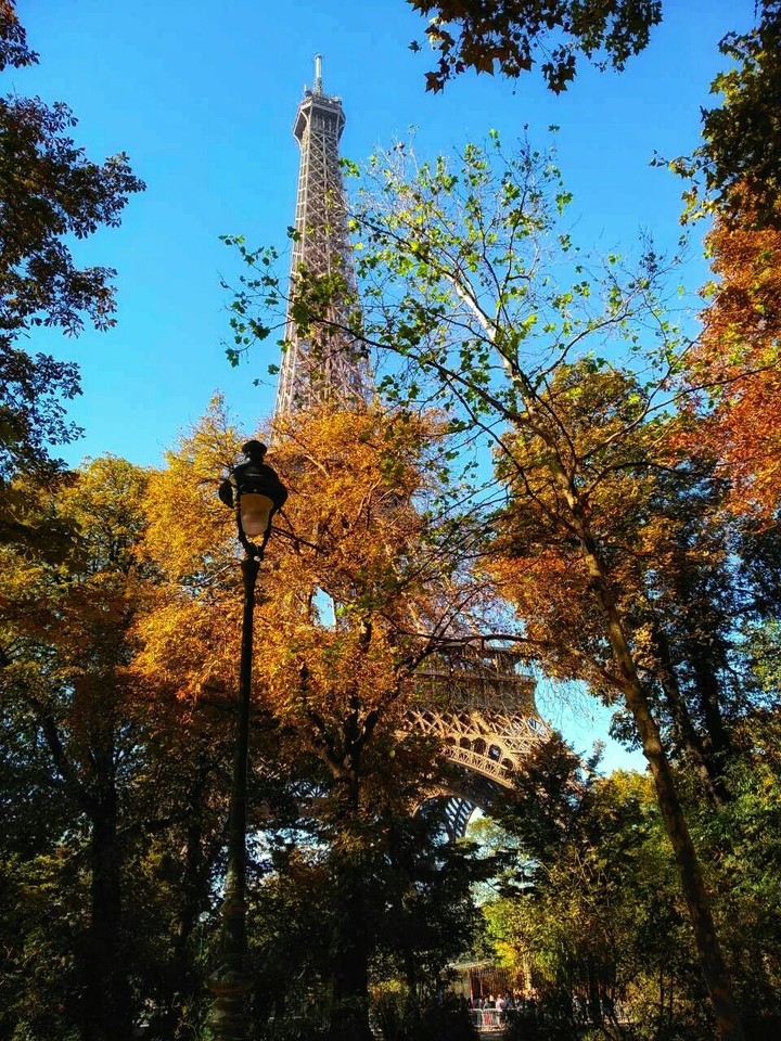 Morning in Paris