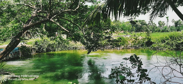 nature