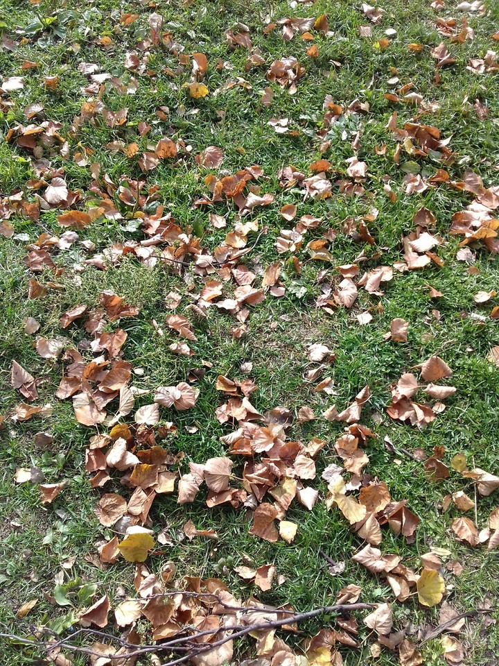 Autumn