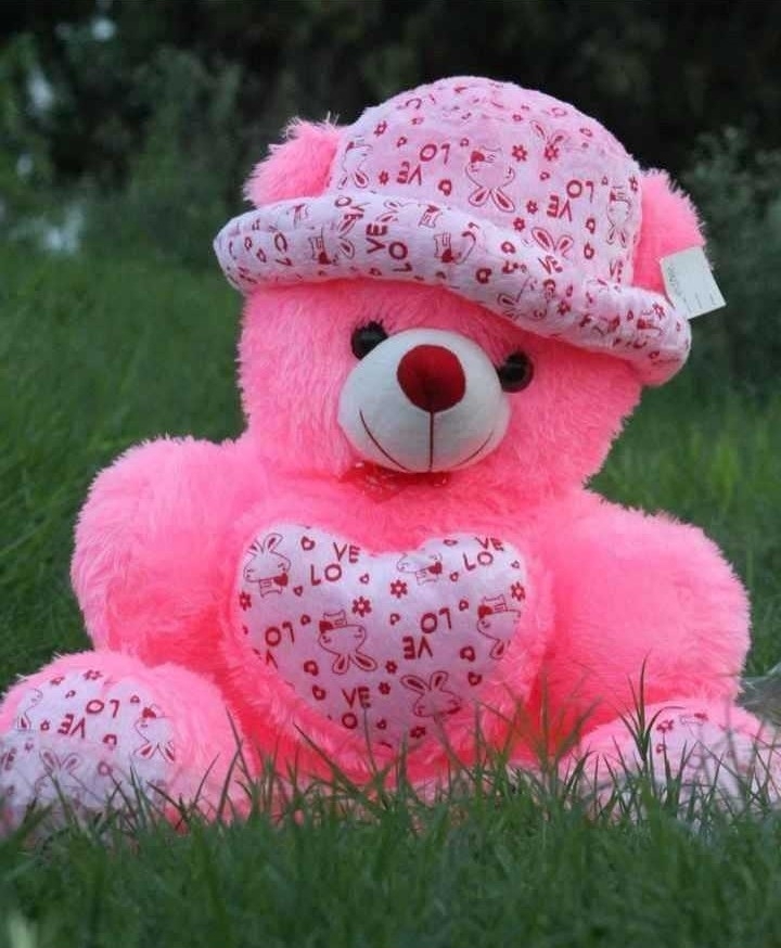 Teddy Bear