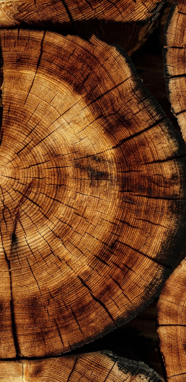 Wooden Piece