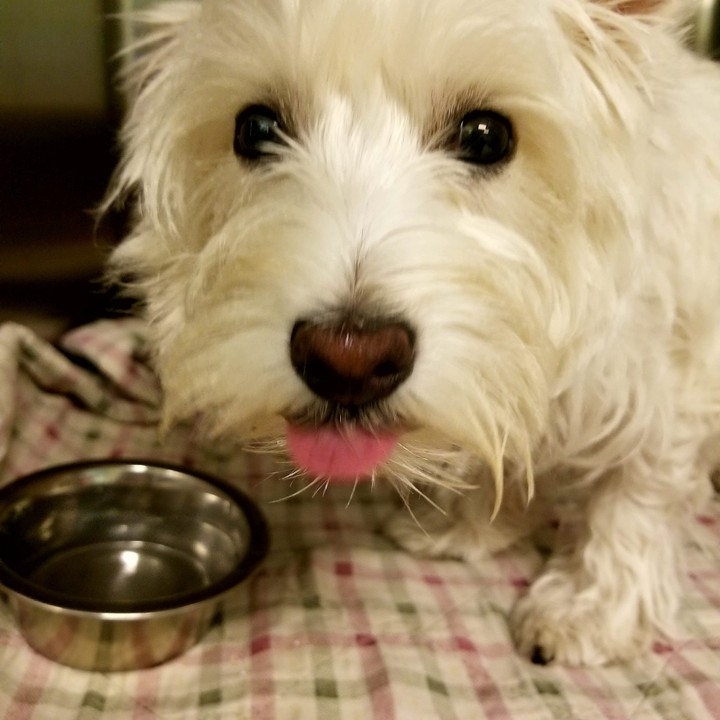 Watson