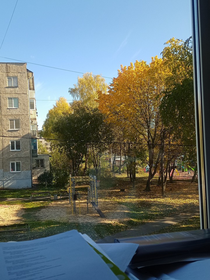 Вид из окна на месте работы