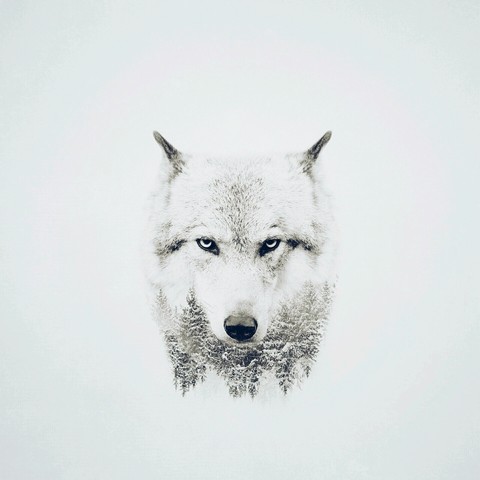 The Winter