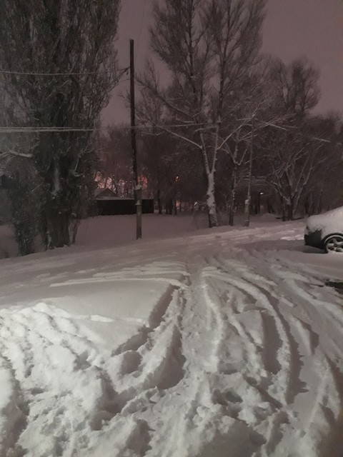 winter