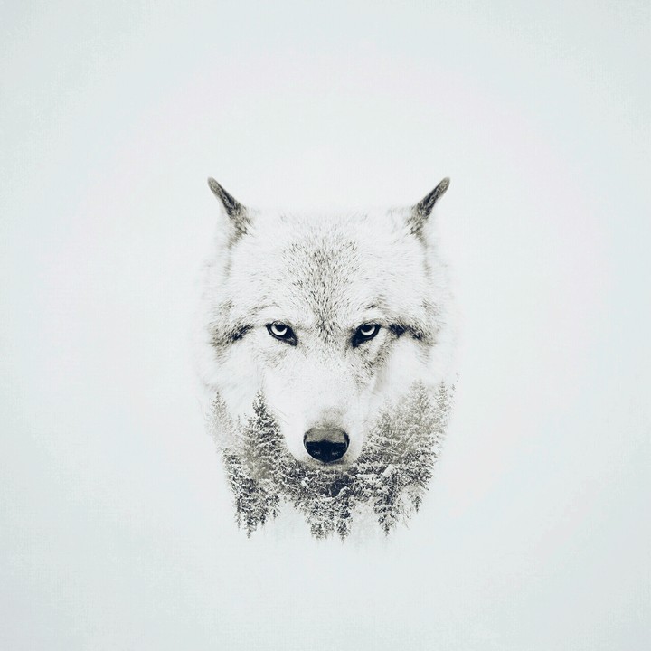 The Winter