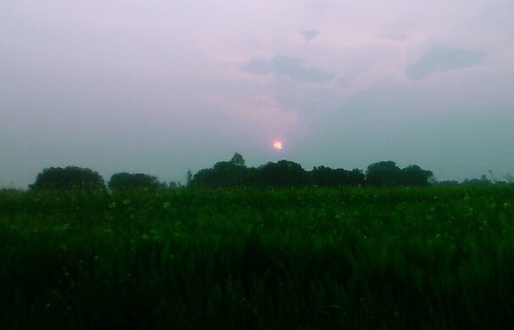 sun shine