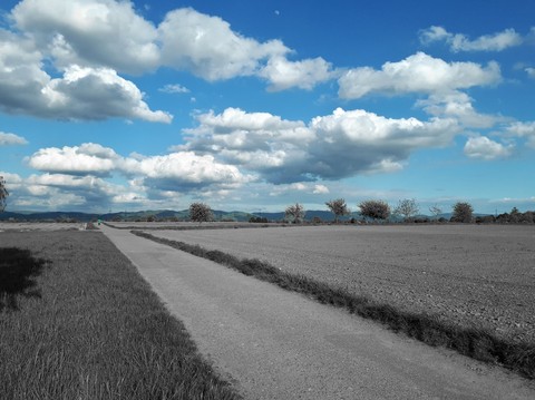 Going my way...