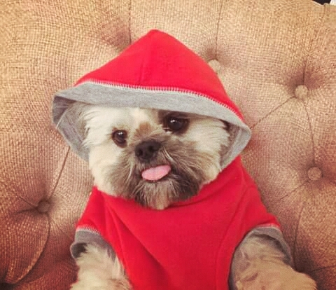 tamblr