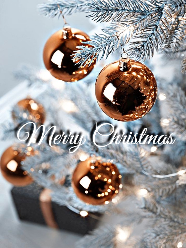Merry Christmas (๑◔‿◔๑)