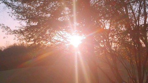 hello Thursday
