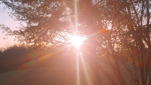 hello Thursday