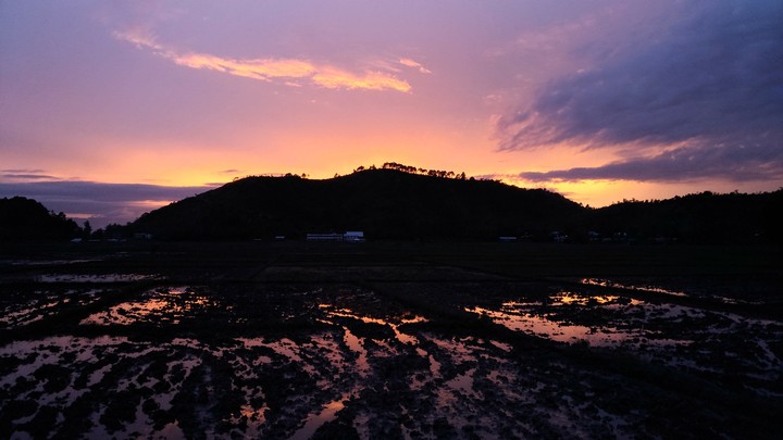 The Endless Orange trails