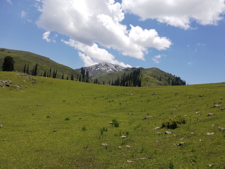 Nature