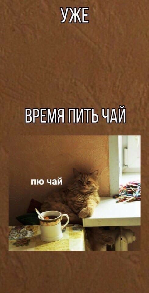Время пить чай☕