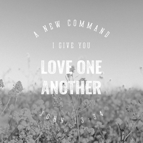 love one another