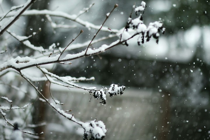 Winter is coming