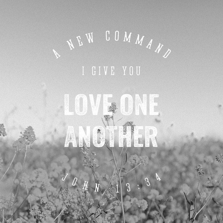 love one another