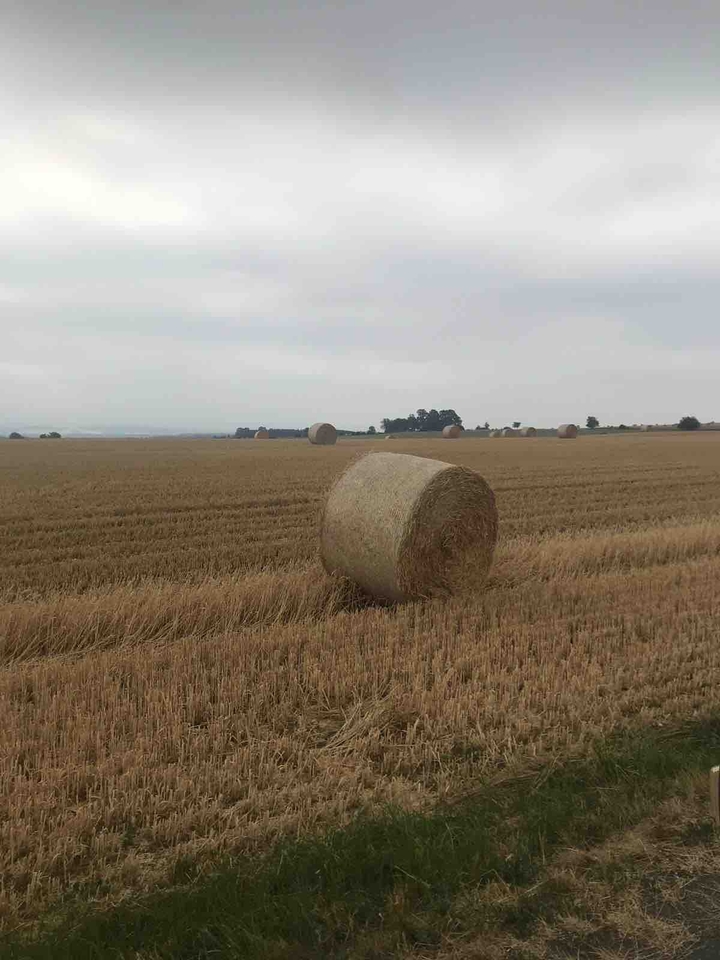 fArm