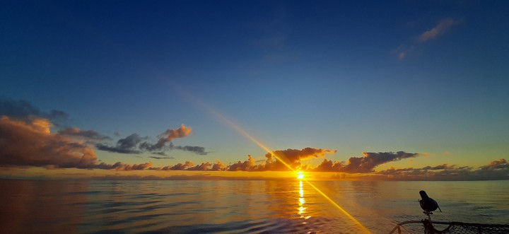 ocean