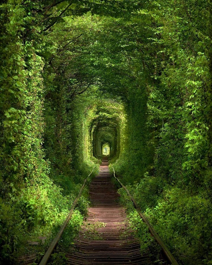 Old train rail in nature tunnel