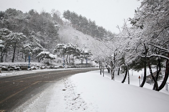 풍경이미지