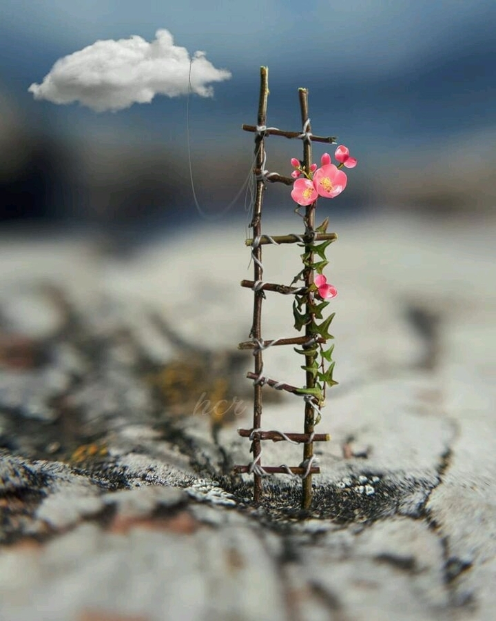 miniatura