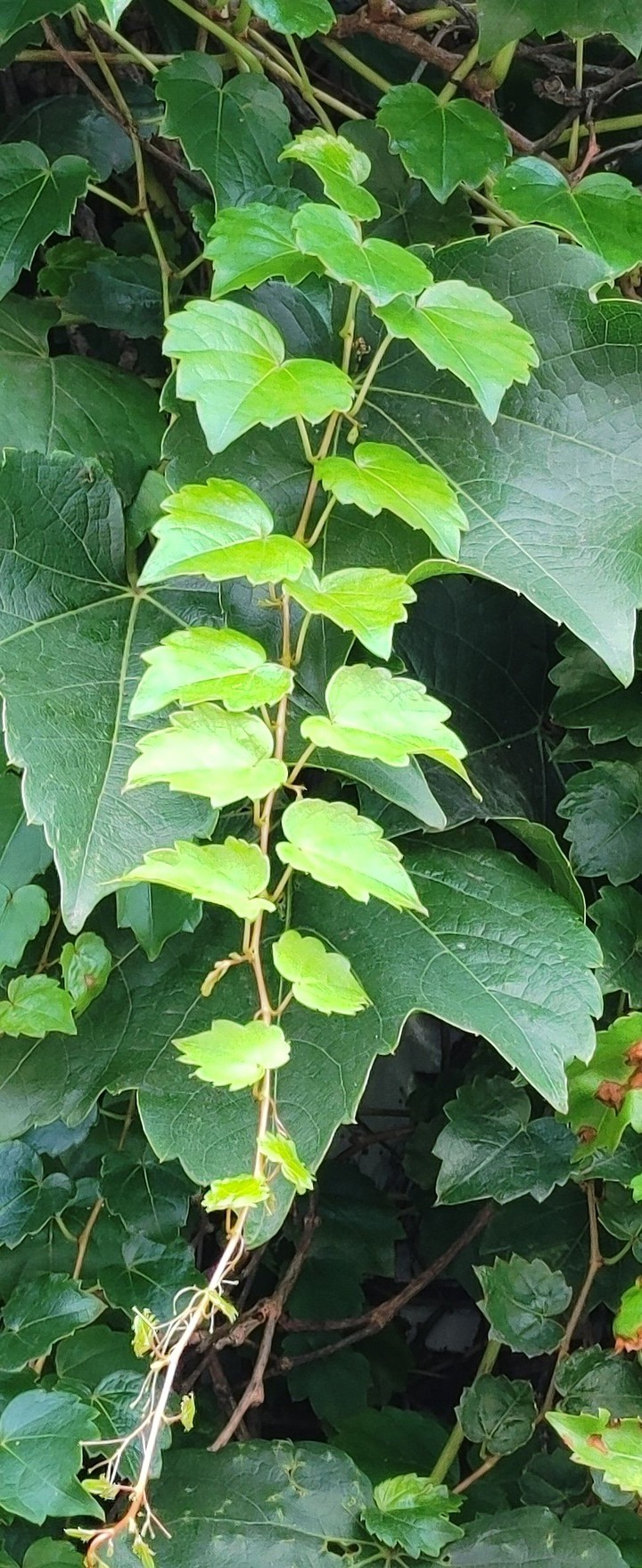 오랫동안
