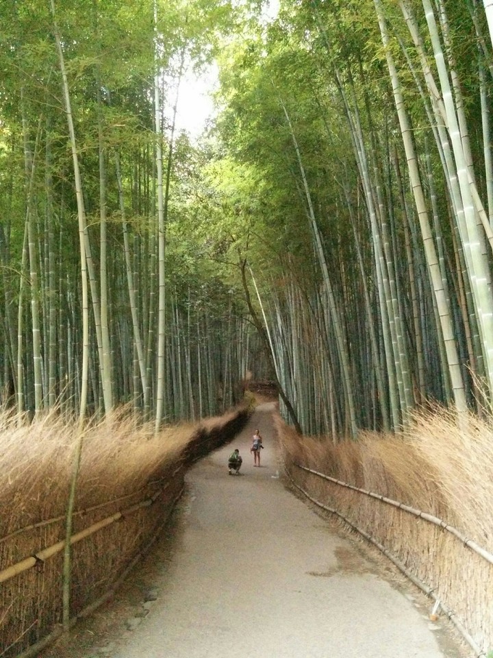 arashiyama
