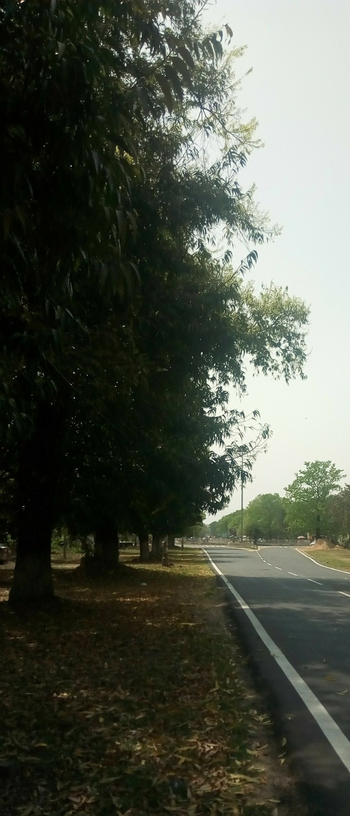 Lonely road