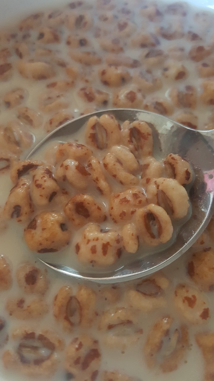 조리퐁