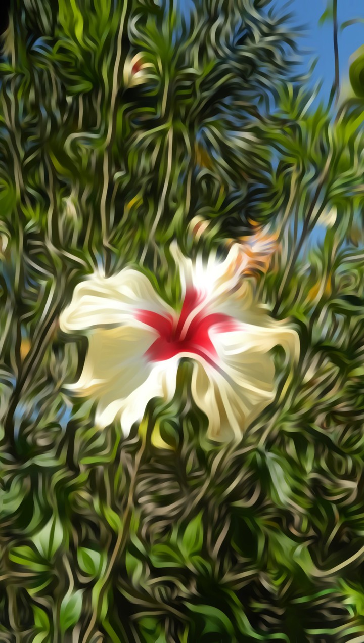 flower