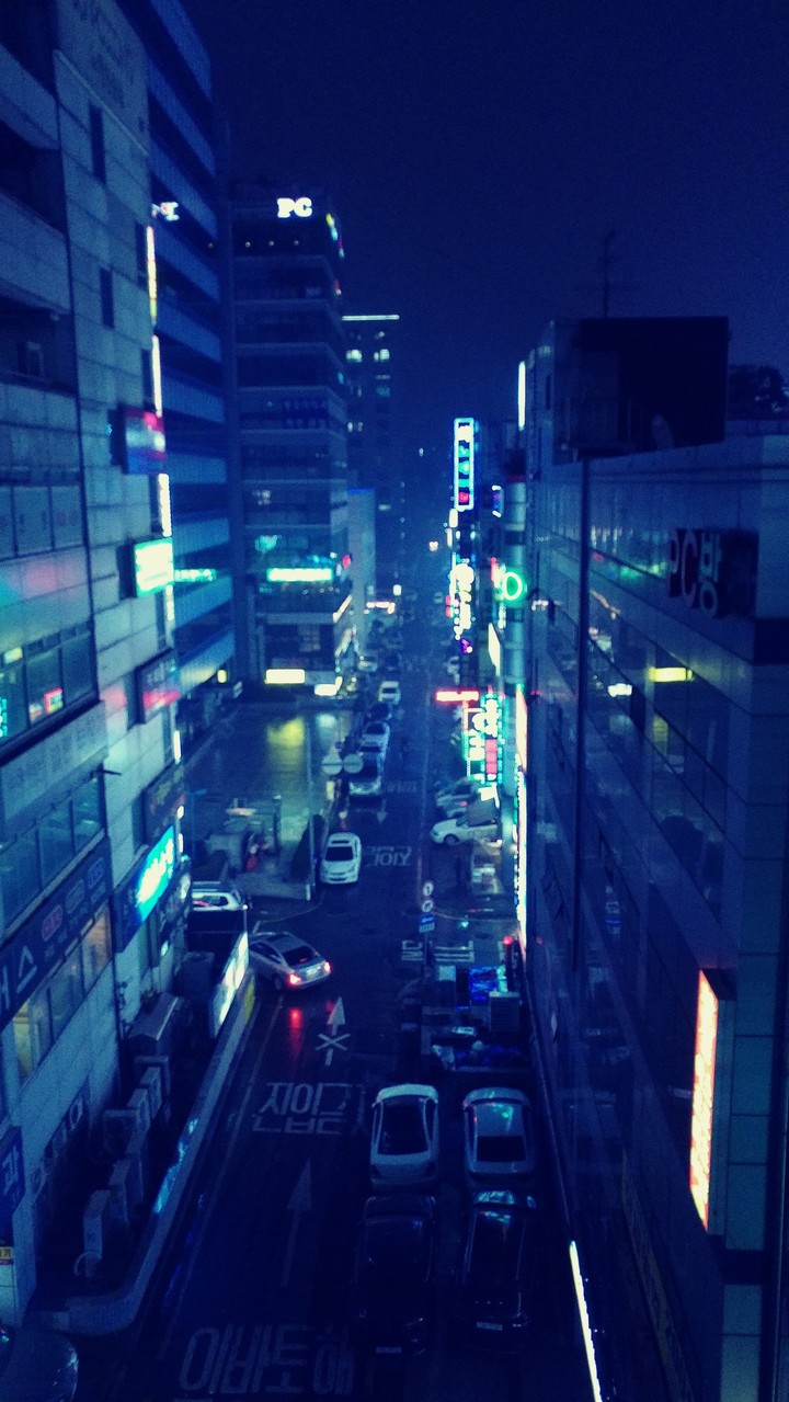 비오는 밤거리