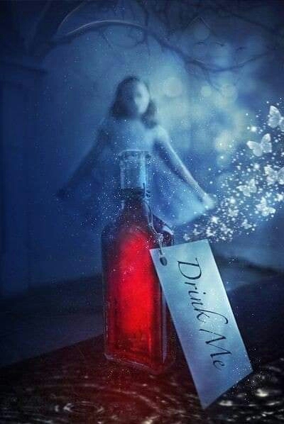 wonderland
