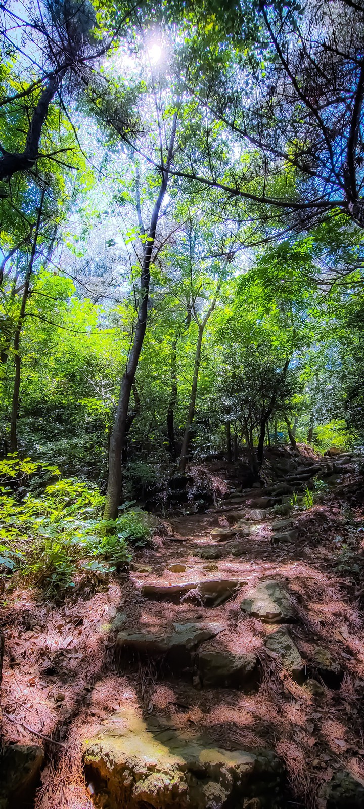 숲길