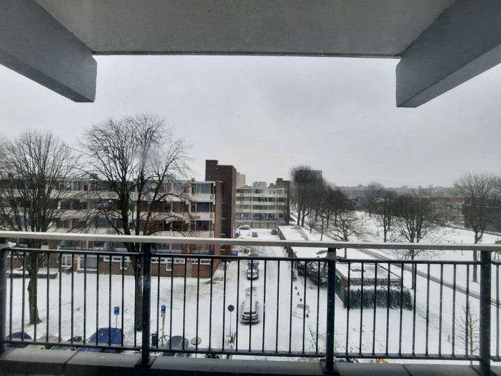 snow