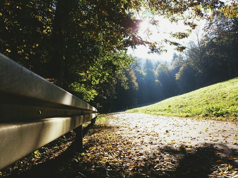 straight to autumn