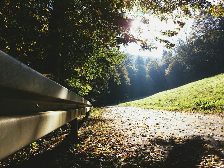 straight to autumn