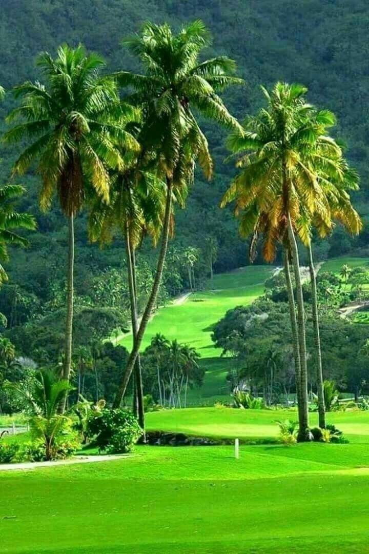 Nature of Bengal India