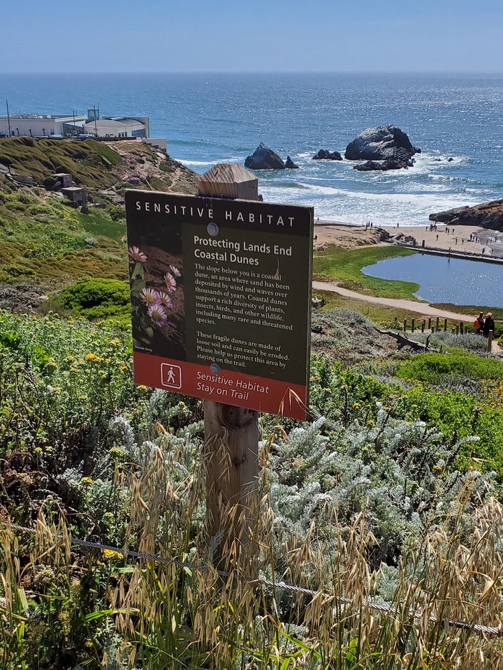 Lands End