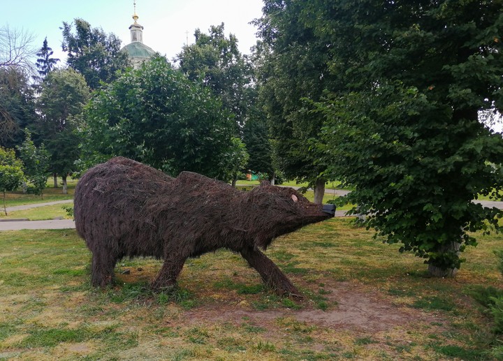 bear