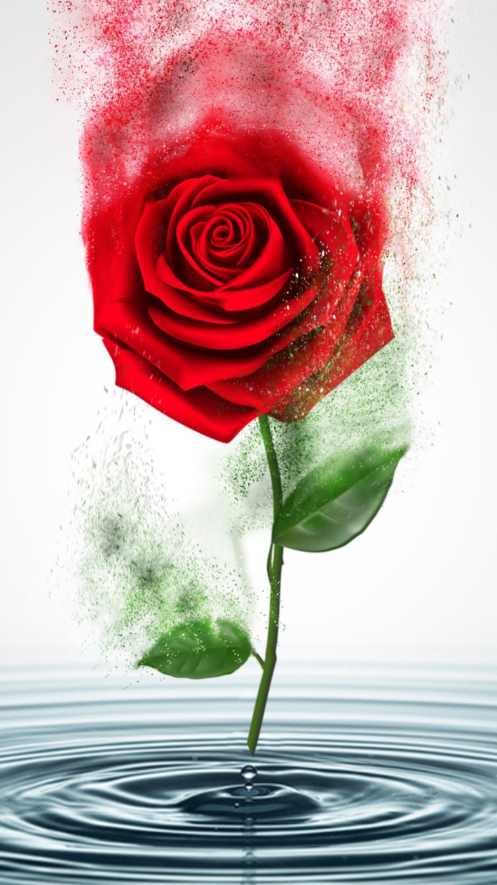 Art roze