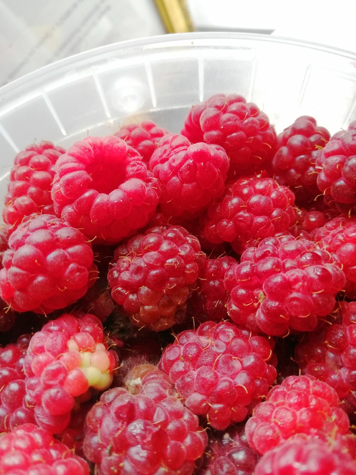 raspberry