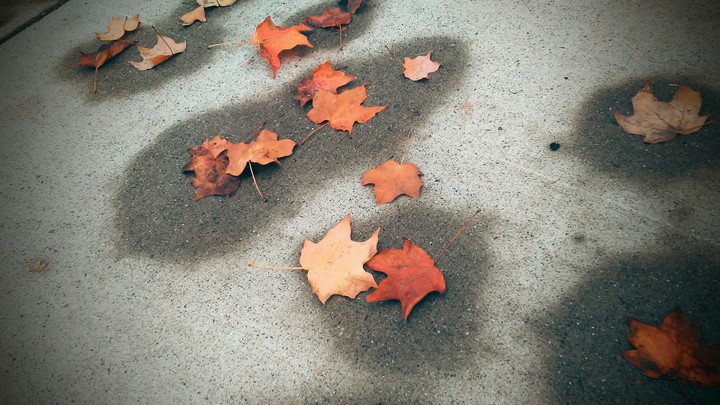 fall