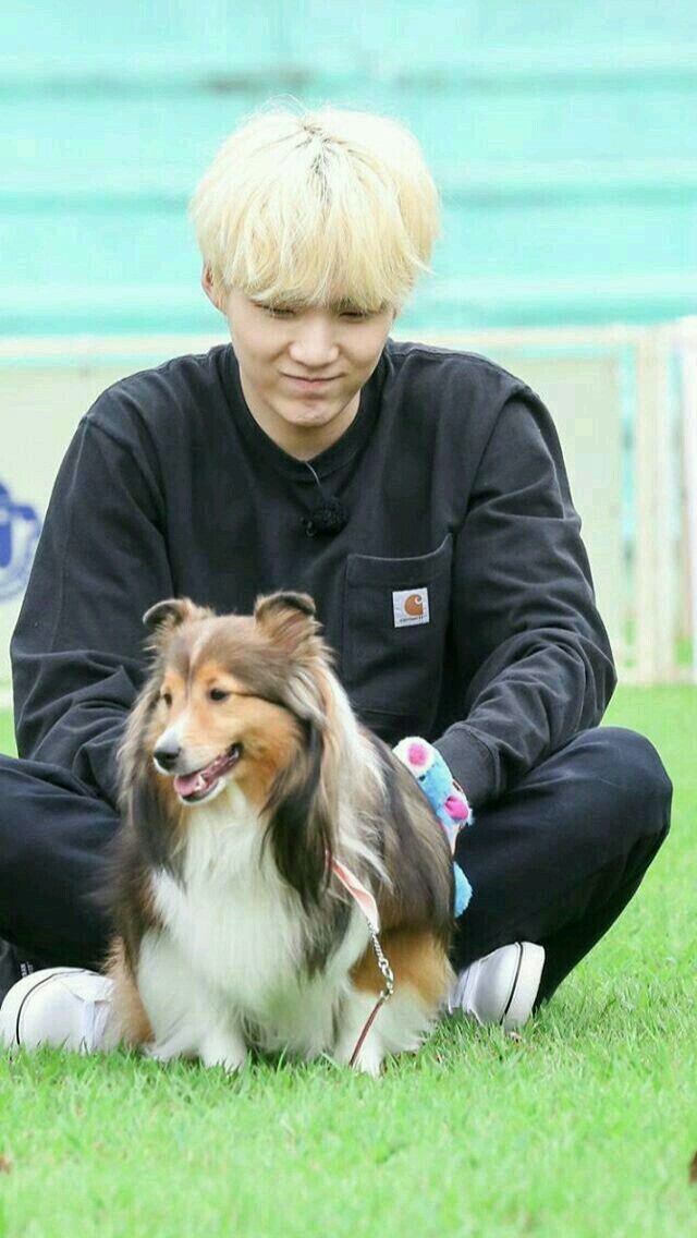 suga and dog