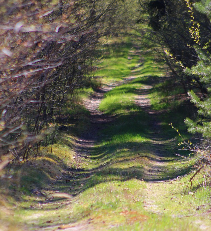 The road to happiness?