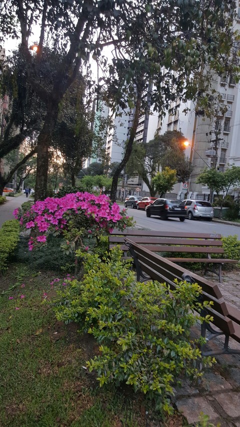 Curitiba