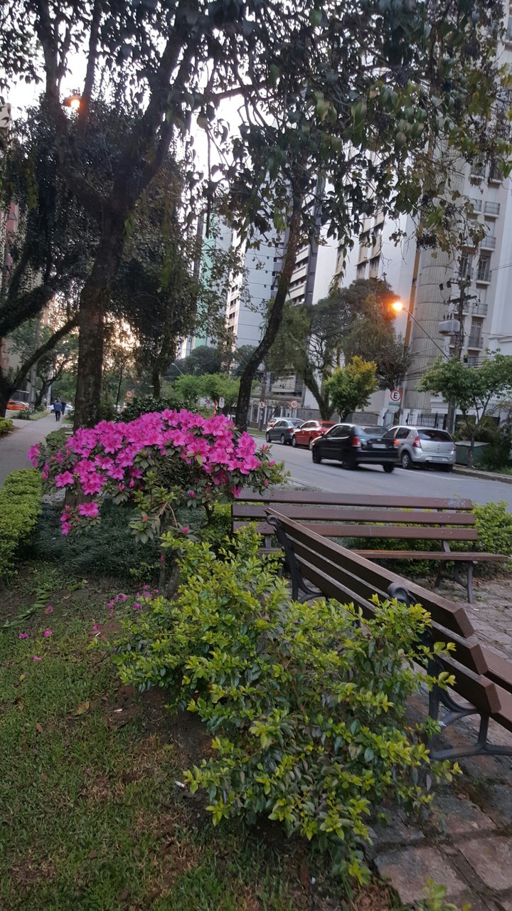Curitiba